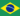 Brazilian Portuguese